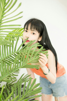 手机 电视剧